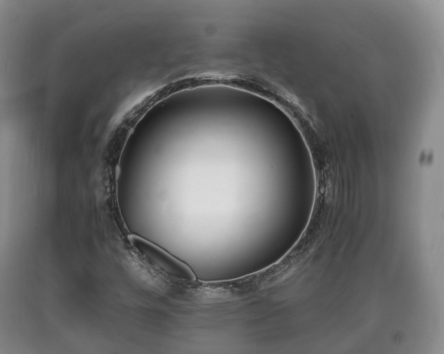 X0000090701448200707271058