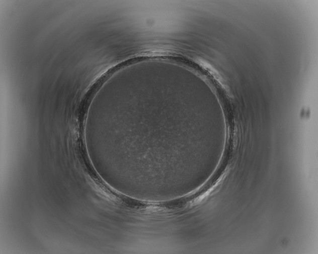 X0000090701449200707271058