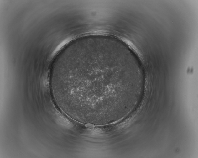 X0000090701450200707271058