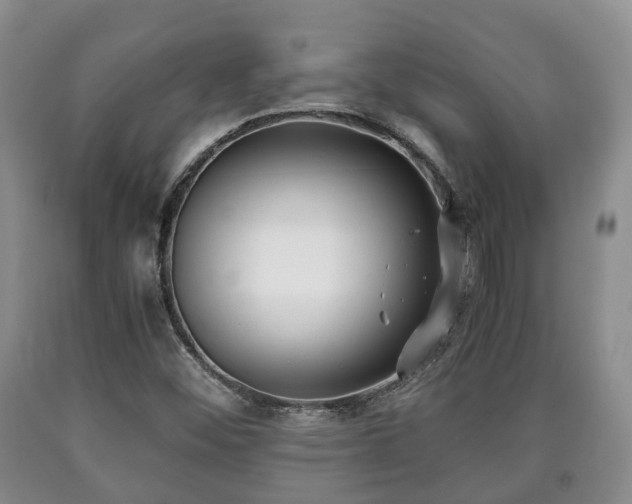 X0000090701452200707271058