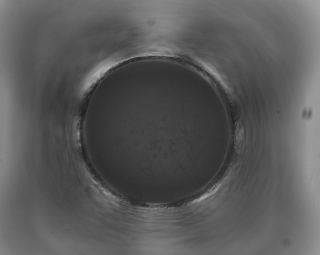 X0000090701455200707271058