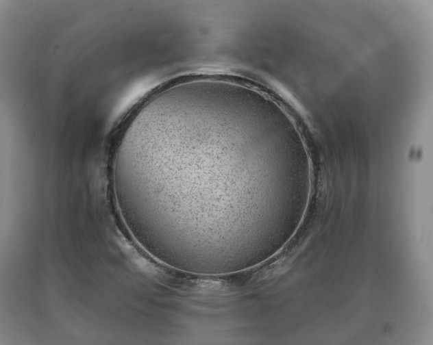 X0000090701456200707271058