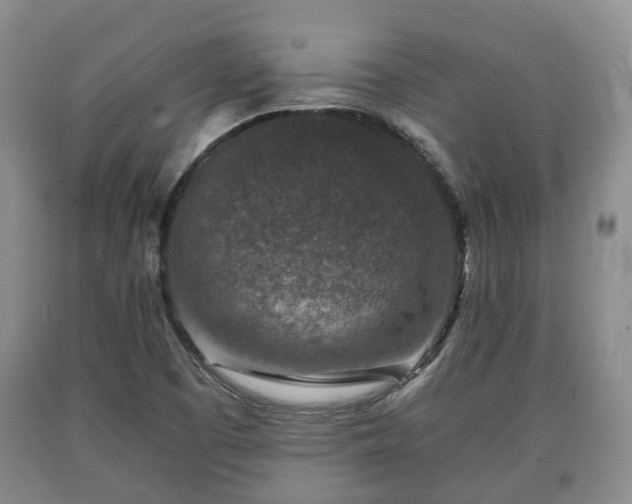 X0000090701457200707271058