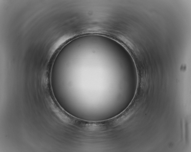 X0000090701458200707271058