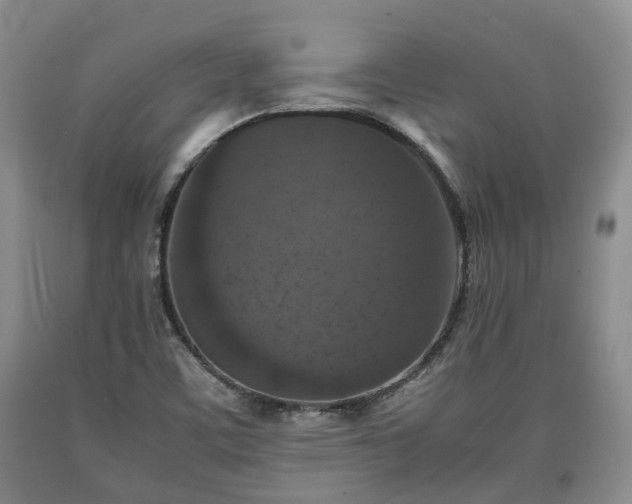 X0000090701459200707271058