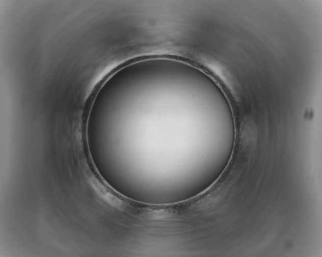 X0000090701460200707271058