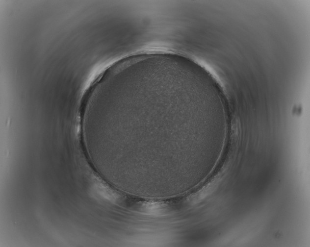 X0000090701461200707271058