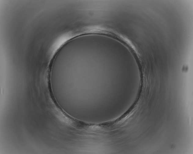 X0000090701463200707271058