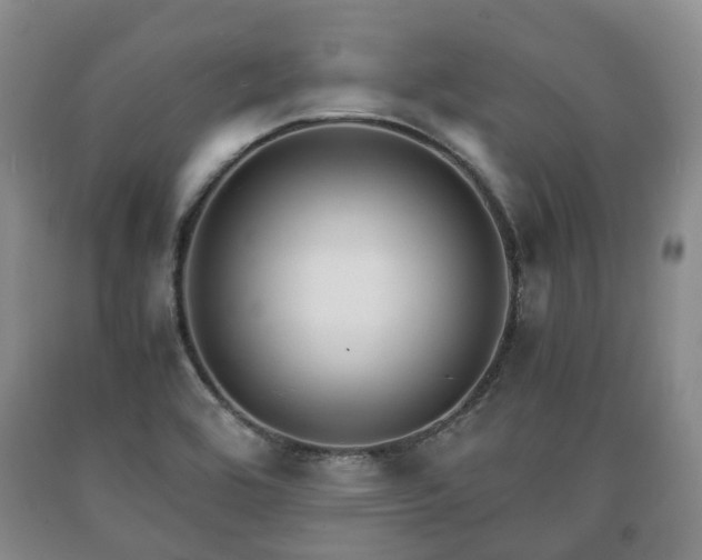 X0000090701464200707271058