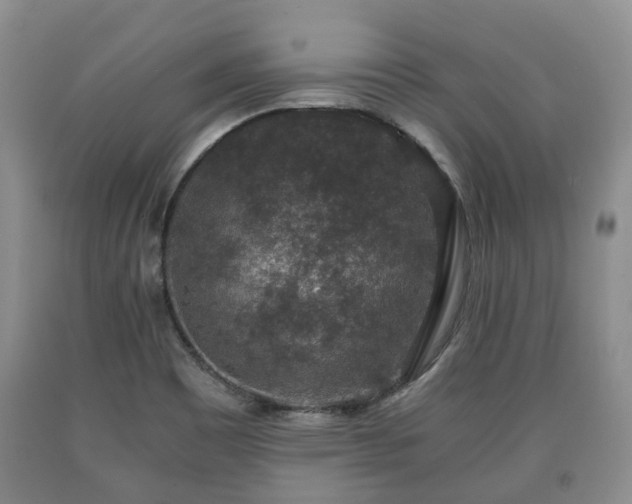 X0000090701465200707271058