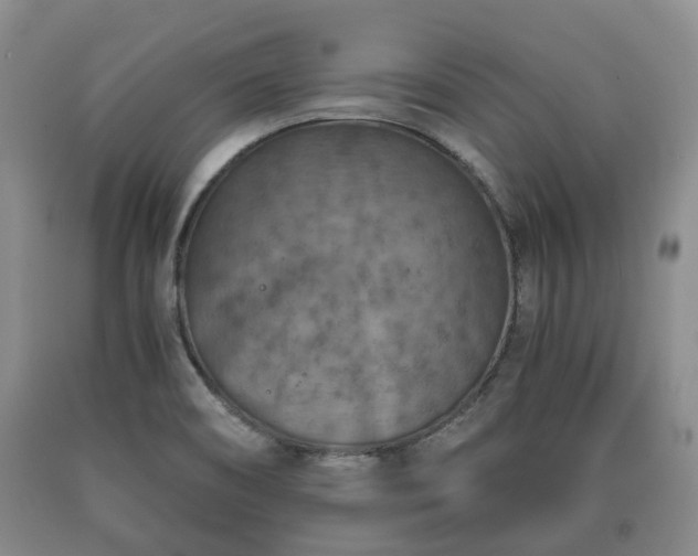 X0000090701466200707271058