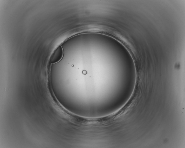 X0000090701467200707271058