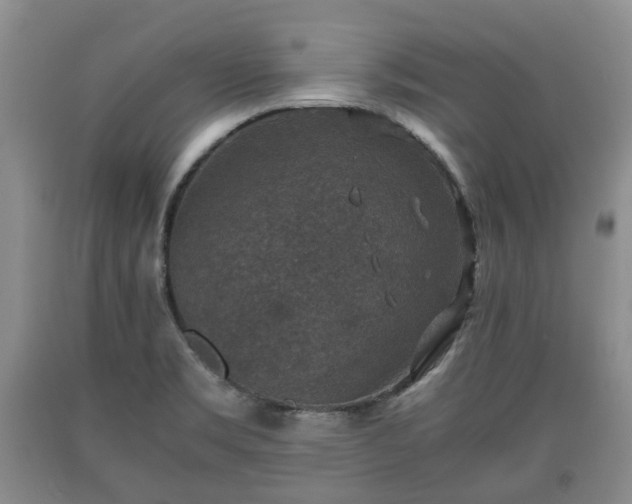 X0000090701469200707271058