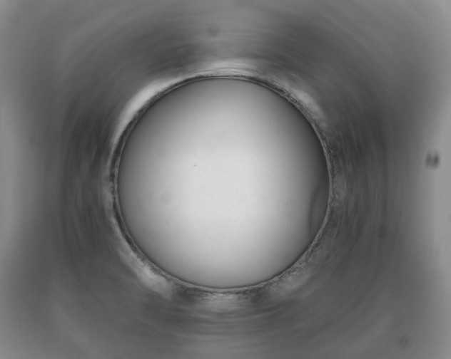 X0000090701470200707271058