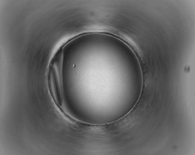 X0000090701472200707271058