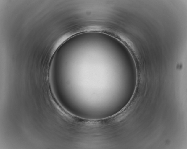 X0000090701473200707271058