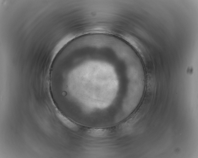 X0000090701474200707271058