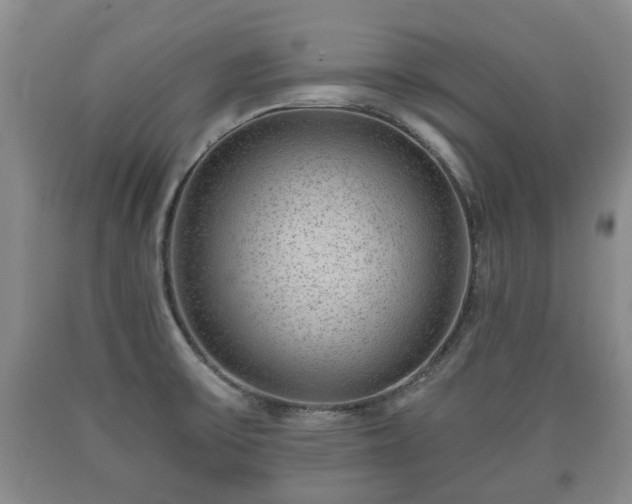 X0000090701475200707271058