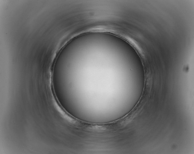 X0000090701476200707271058