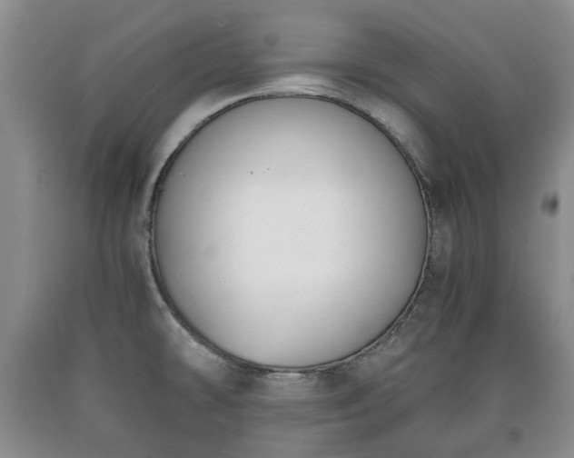 X0000090701478200707271058