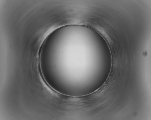 X0000090701479200707271058