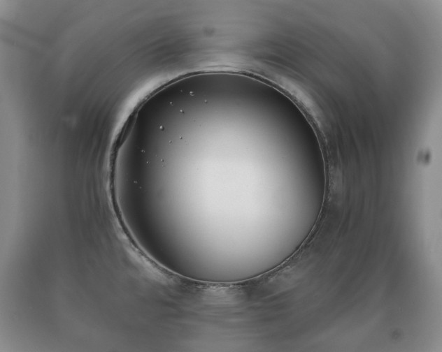 X0000090701480200707271058