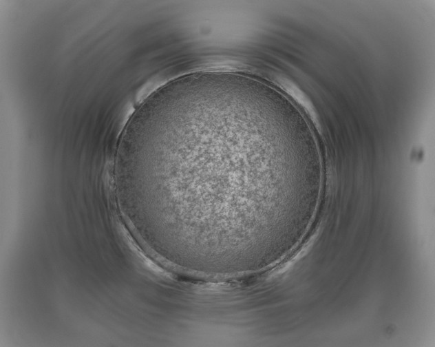 X0000090701481200707271058