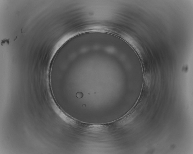 X0000090701482200707271058