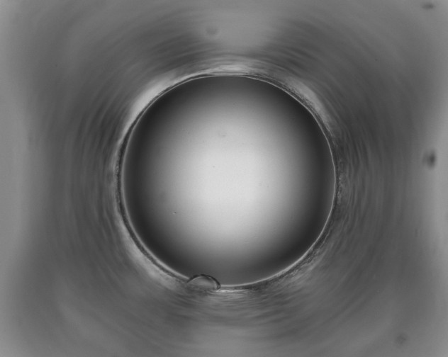 X0000090701483200707271058