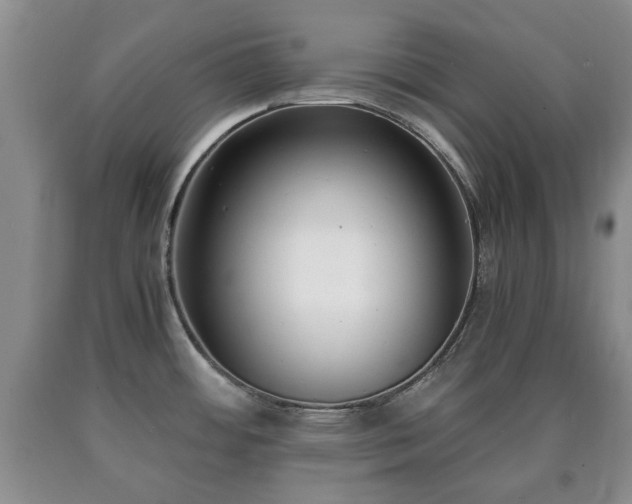 X0000090701484200707271058