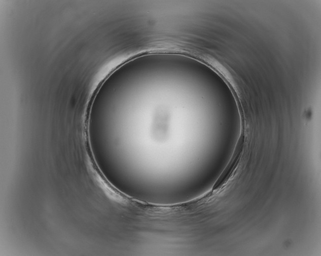 X0000090701485200707271058