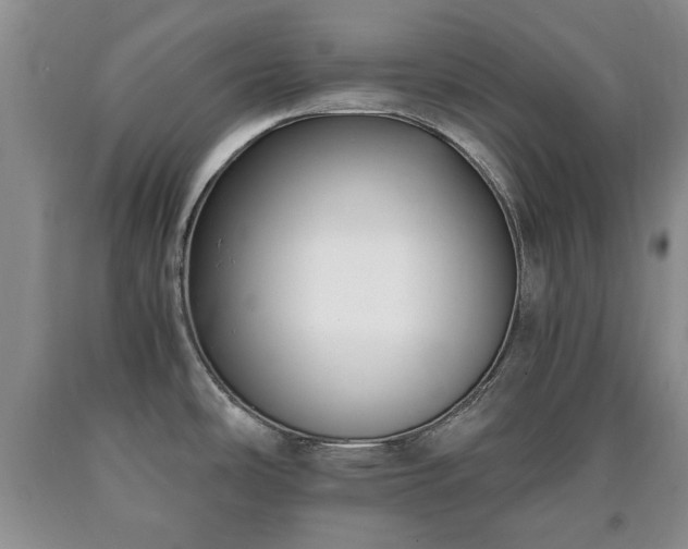 X0000090701486200707271058