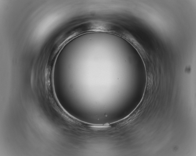 X0000090701487200707271058