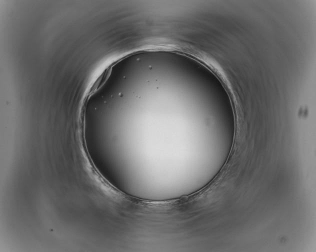 X0000090701488200707271058