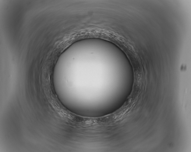 X0000090701489200707271057