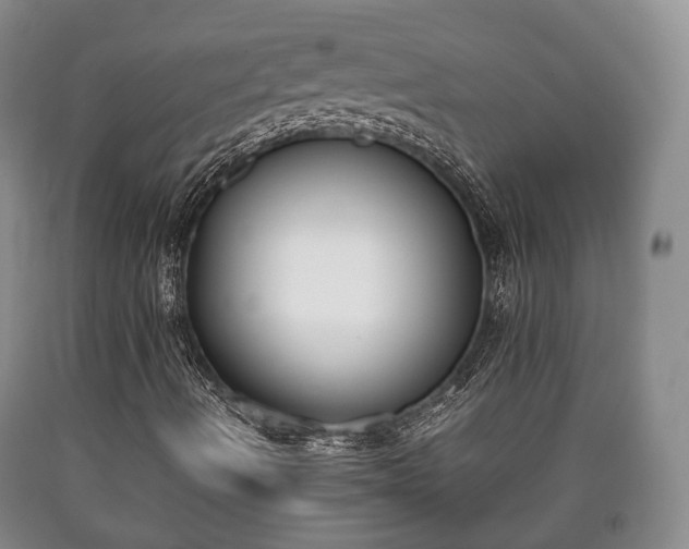 X0000090701490200707271057