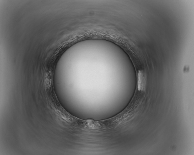 X0000090701491200707271057