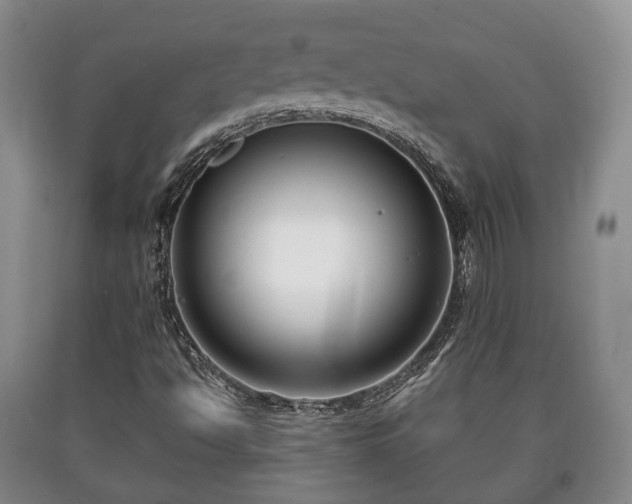 X0000090701494200707271057