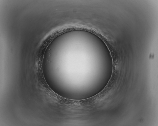 X0000090701495200707271057