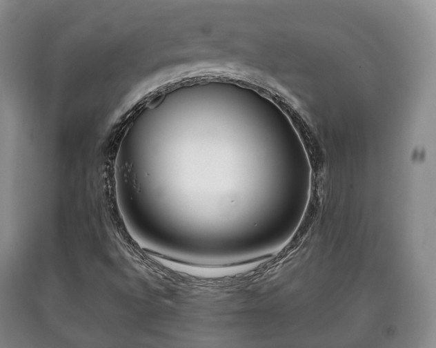 X0000090701496200707271057