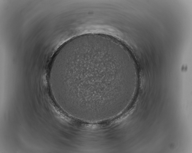 X0000090701497200707271057