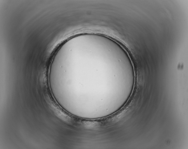 X0000090701498200707271057