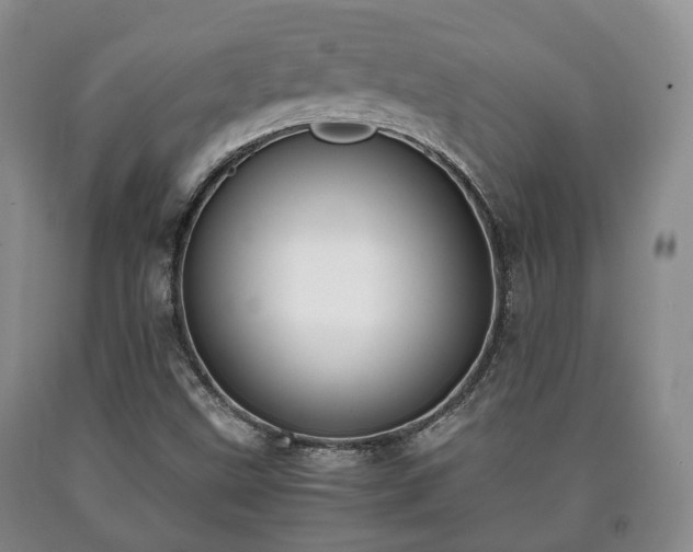 X0000090701499200707271057