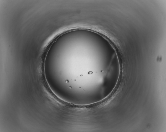 X0000090701502200707271057