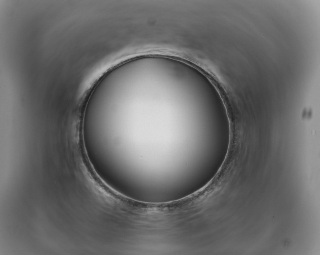 X0000090701504200707271057