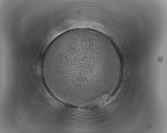 X0000090701505200707271057