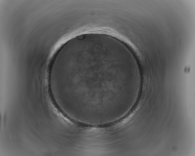 X0000090701506200707271057