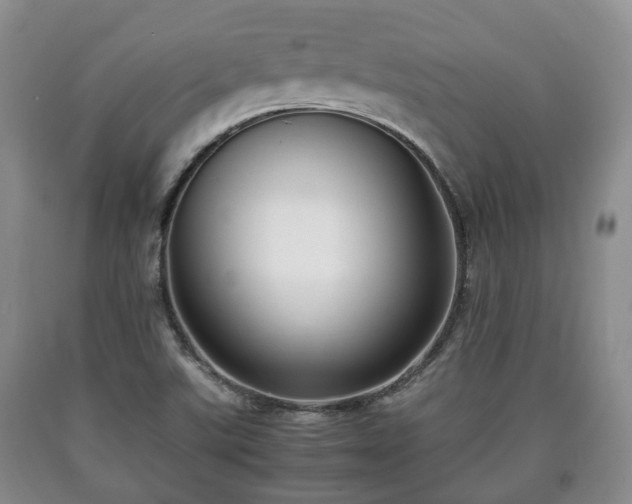 X0000090701507200707271057