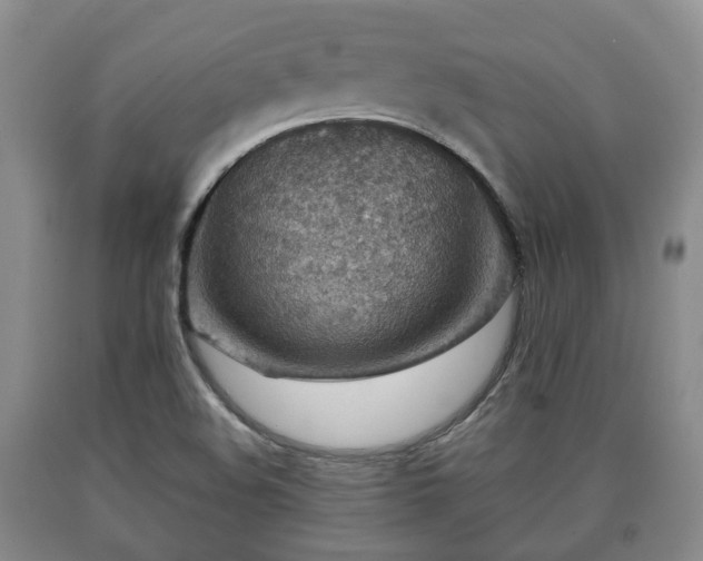 X0000090701508200707271057