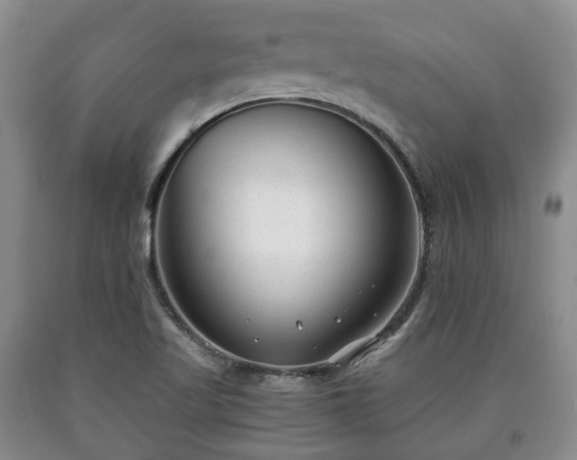 X0000090701509200707271057